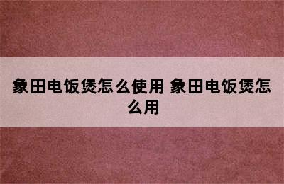 象田电饭煲怎么使用 象田电饭煲怎么用